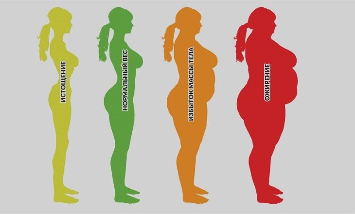 Детальная фотография к статье «Степени ожирения»