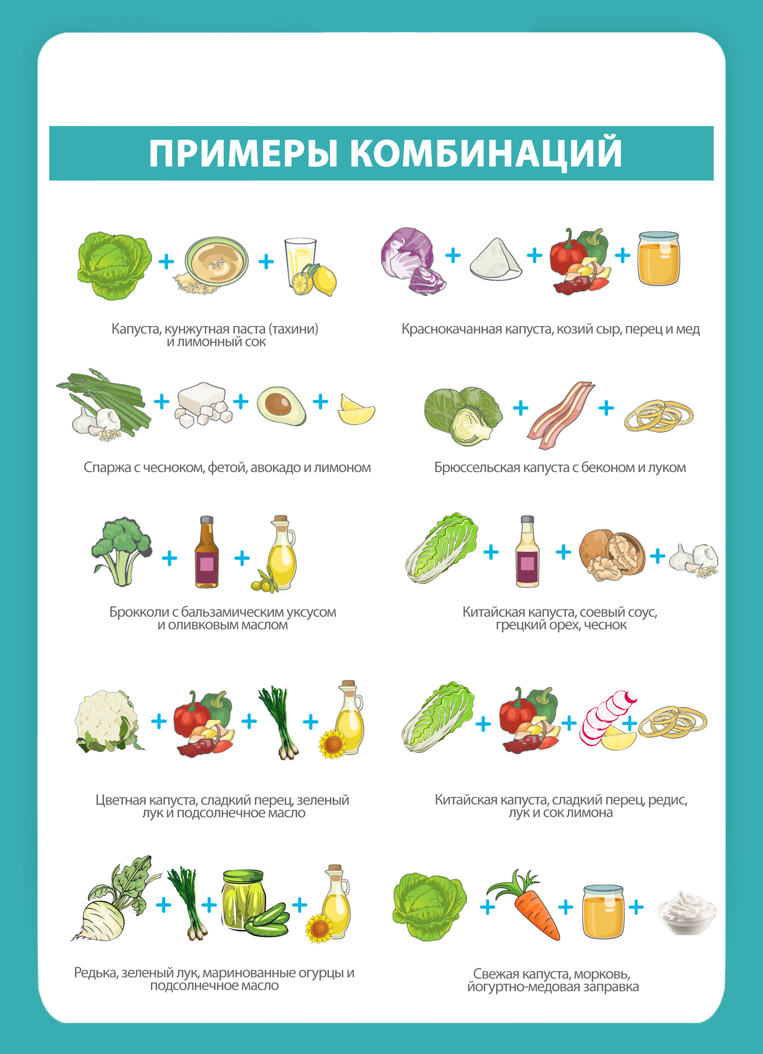 Роль овощей в организме