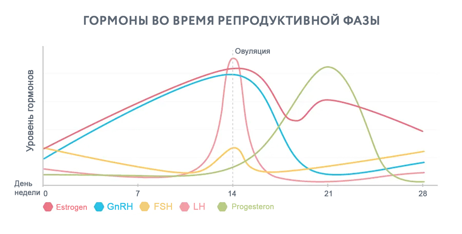 Менопауза: причины, симптомы, секреты хорошего самочувствия, полезные  стратегии | Климакс | Перименопауза | Доктор Борменталь